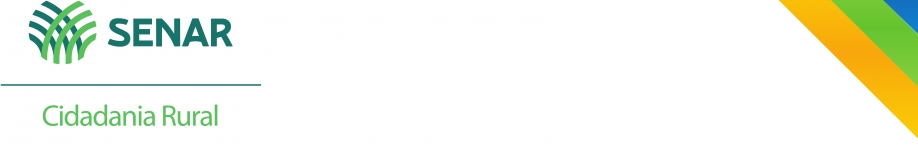 Banner Banner