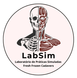 Labsim