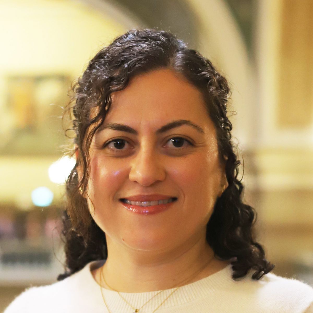 14th UDNI Conference Rio De Janeiro Brazil October 28 31 2025